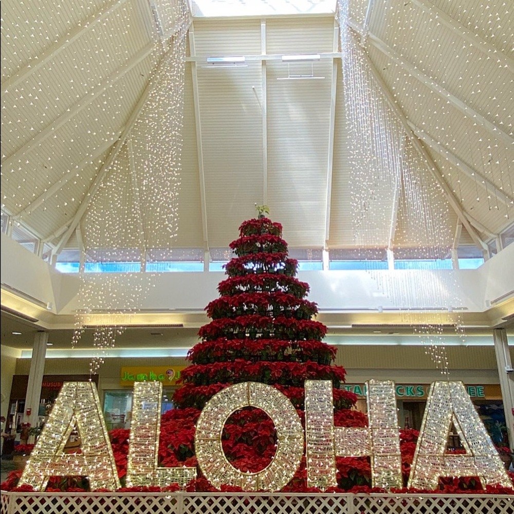 Merry Happy Christmas 🎄 Everyone!